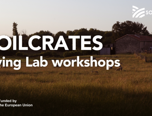 Second Online Proposal Preparation Workshop – Ireland