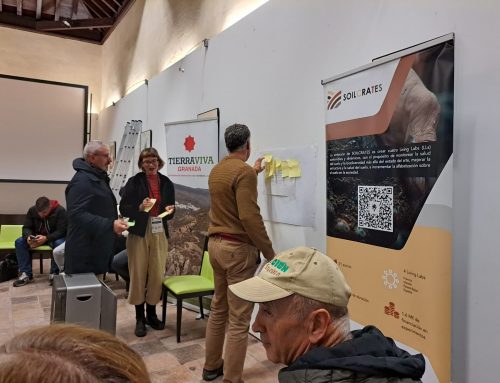 Fourth Co-creation Session of the Granada Tierra Viva Living Lab