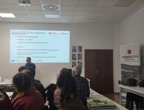 Granada Tierra Viva Co-Creation Session Hosted by the Medialab UGR