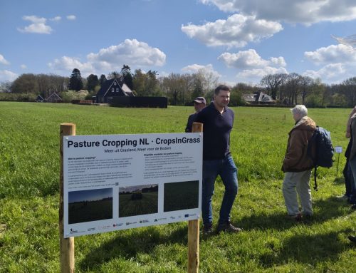 First SOILCRATES Pilot Demonstration on Pasture Cropping