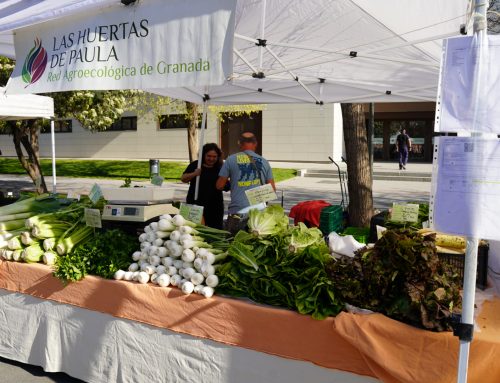The University of Granada is promoting the first UGR Ecomarket together with the Granada Agroecological Network