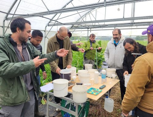 Training on Soil Nitrogen Residues in the Landes Living Lab