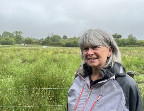 Doon Social Farm Recognised for Biodiversity and Social Farming Innovation