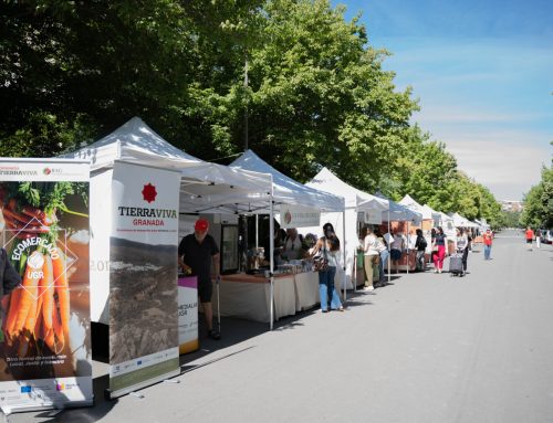 Granada Tierra Viva Living Lab : The University Walkways host a new edition of the UGR Ecomarket, now established as an agroecological event